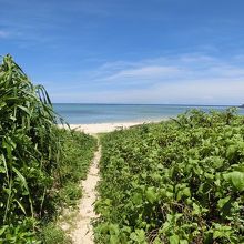 草木の間を抜けると海岸に出ます。