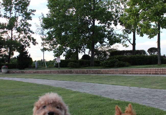 大きな池の寺ヶ池公園