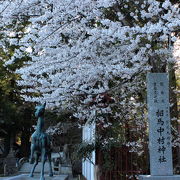 満開の桜と共に。