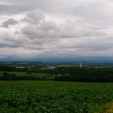 ジェットコースターの路からの風景