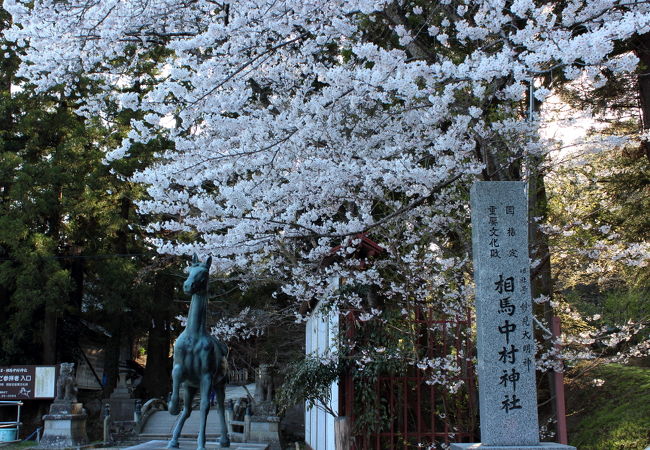 満開の桜と共に。