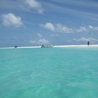 ホテルで手配したエクスカーションの様子です。