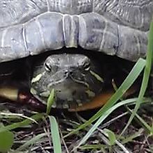 勢いよく上がりすぎましたか？