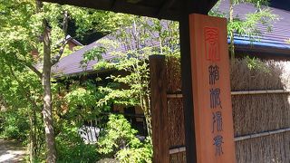 思う存分森林浴