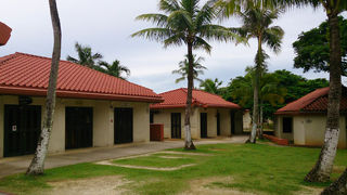 水曜日のナイトマーケットがねらい目！