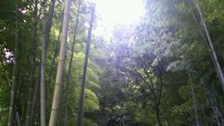 外国人に大人気