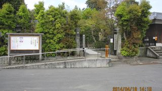 日本版モアイ像の集団