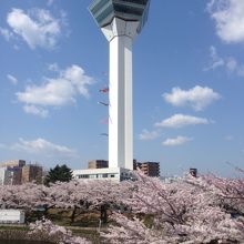 空の色と桜とタワーの白が素敵です