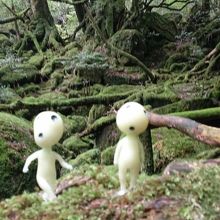 こだまがいた(笑)