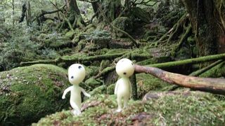 初心者でも登れる！