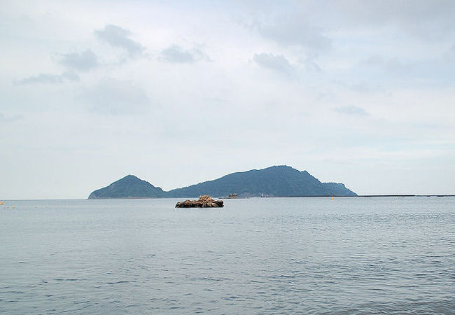 亜熱帯植物が覆う島