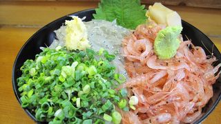 焼津の新鮮な魚はここ 大漁やまちゃん