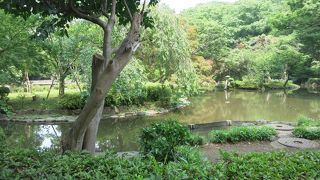 都会のオアシス