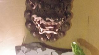 何を注文してもどれも美味しい料理♪