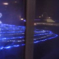 庭にイルミネーションが施されていました。