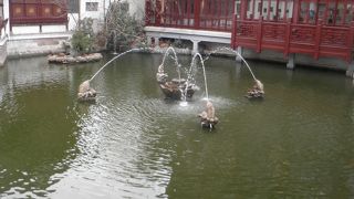 池の眺めがいい