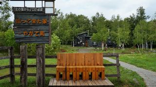 ドラマの世界に浸れます