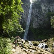 自然散策を楽しみながら行ける滝です