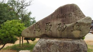 早朝の鳥取砂丘