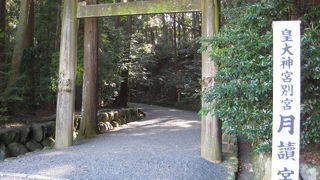夏は虫がすごいので注意