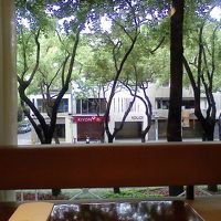 レストランから外を見ると南国だなぁと思います。