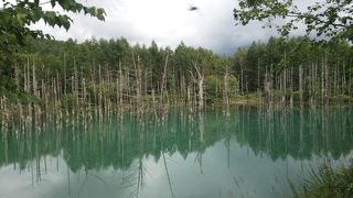 曇りの夕方だったので、青い・・って言うより　碧の池