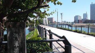 廃線跡踏みしめて水辺の散策いかが・・