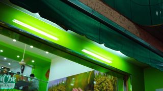 緑が目にまぶしい店内。