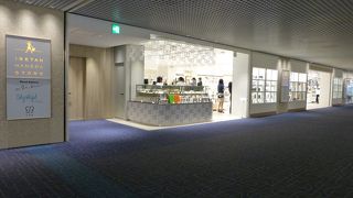 レディスと銘打っていますが，男性にも十分良いです．