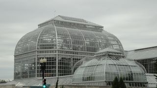 ＤＣの植物園