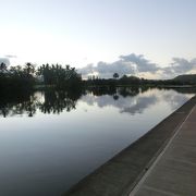 早朝のアラワイ運河