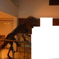 ホテルのエントランスに恐竜の模型があります。