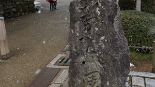 桂の木がたくさんあったそうです