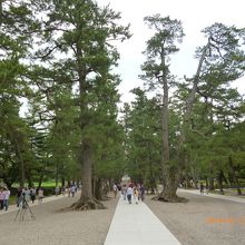 参道は三筋あり中央は本来神様が通る道