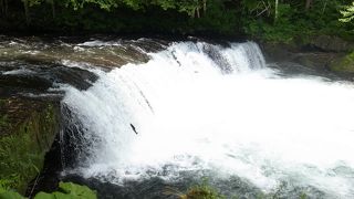 必見です！！！超感動します。