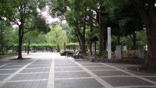 子供たちが見当たらない、大きな公園で～す。