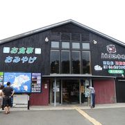 新鮮なお魚料理がいただけます