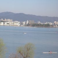 対岸の大津の中心部です