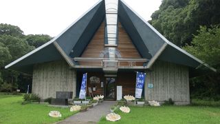 貝もディスプレイも、建物も美しい