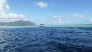 早朝だけど、行く価値あり