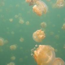 様子が少しずつ・・・変化して・・・