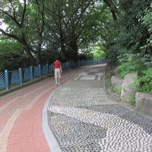 足裏マッサージに使用していました