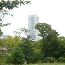 ランドマークタワーが見えます。