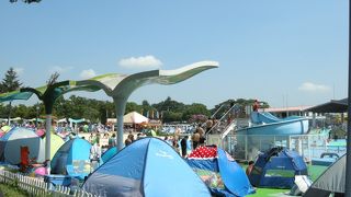 1日遊べて大満足のプール