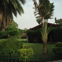 中庭は緑がきれいでした