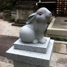 狛犬ならぬ、狛兎です