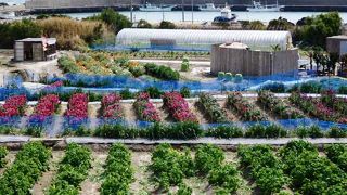 展望テラスからの眺めが良い道の駅鴨川オーシャンパーク（みちのえき かもがわオーシャンパーク）