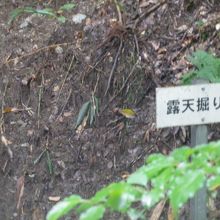 表示がされています