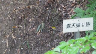 和銅遺跡にあります
