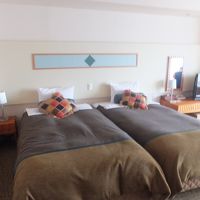 両方のベッドサイドにコンセントがあって便利でした！